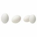 Extra Large Eggs