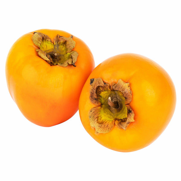 Persimmon Bag