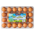 Kirkland Signature Organic Large Free Range Eggs