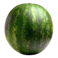 Seedless Watermelon