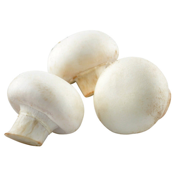 White Mushroom