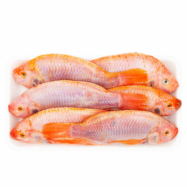 Whole Farmed Tilapia