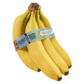 Organic Banana