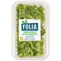 Folia Folia
