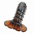 Lobster Tail
